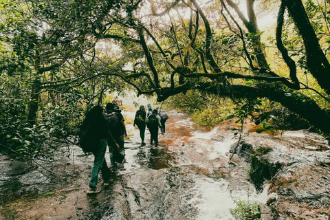 Knuckles Mountain Range: Kotaganga Waterfall Chain Hike