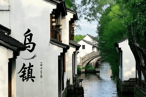 From Hangzhou: Wuzhen Water Town Day Trip & Night Lights