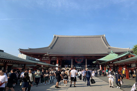 Tokyo: Must-Sees attractions private walking tour