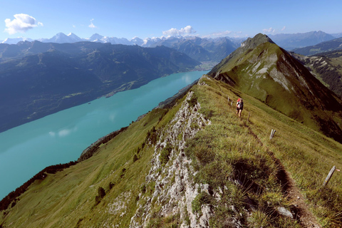 Jednodniowa wycieczka na Augstmatthorn z transferem z Interlaken