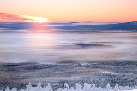 Levi: 4 timmars snöskotersafari till fjällen i Levi