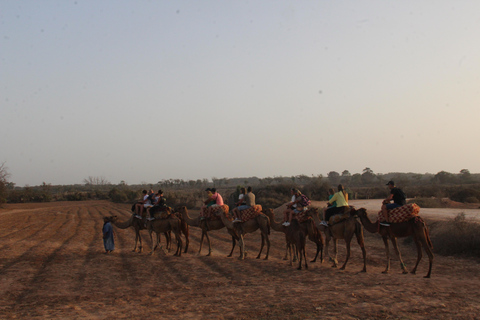 Agadir : balade à dos de chameau ou à cheval au coucher du soleil avec dîner barbecueAgadir : Balade au coucher du soleil à dos de chameau ou à cheval avec dîner barbecue