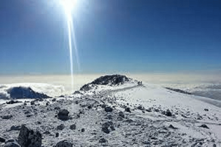 La mejor ascensión de 5 días a la Ruta Umbwe por el Kilimanjaro