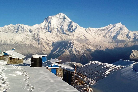 Kathmandu: Khopra Ridge Trek with Panoramic Views