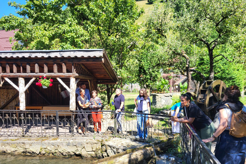 Descobre a Transilvânia: Castelo de Bran e viagem de um dia a BV a partir de SibiuDescobre a Transilvânia: Castelo de Bran e Viagem de um dia a BV a partir de Sibiu