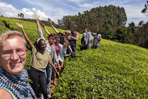 Nairobi: 1-dniowa wycieczka na farmę herbaty Teagoni