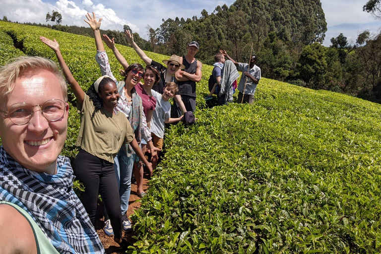 Nairobi: 1-dniowa wycieczka na farmę herbaty Teagoni