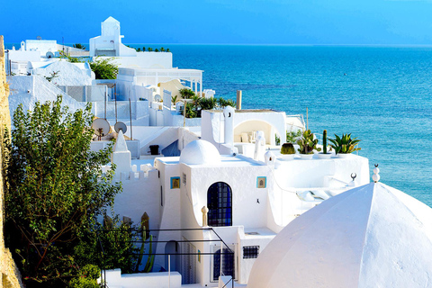 Day Trip to Cap Bon – Full-Day Excursion to Cap Bon