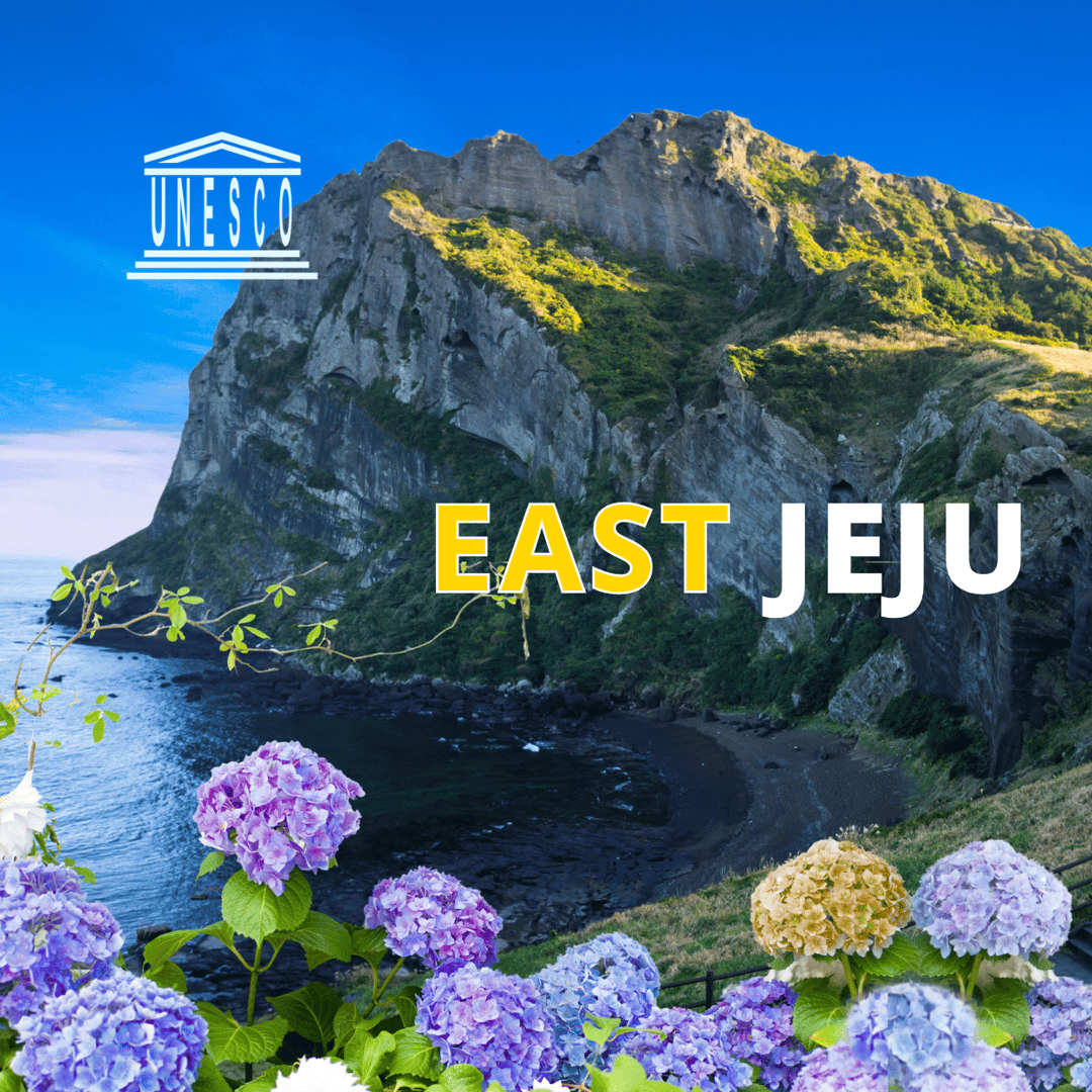 제주: 제주 동부 유네스코 명소 당일 투어 | GetYourGuide