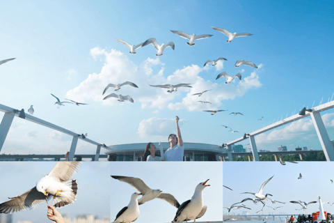 Yeouido : croisière Eland Han River Cruise à SéoulCroisière Starlight à Yeouido