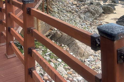 Gangneung Day Tour from Seoul (Optional Extended Stay)