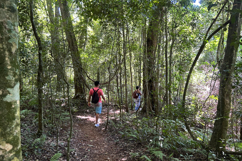 Essence of Iguazú: Full-Day Tour of Iguazú Falls (Brazil Side) and São João Trail Essence of Iguaçu: Full Day at Iguaçu Falls, Brazil, and São João Trail