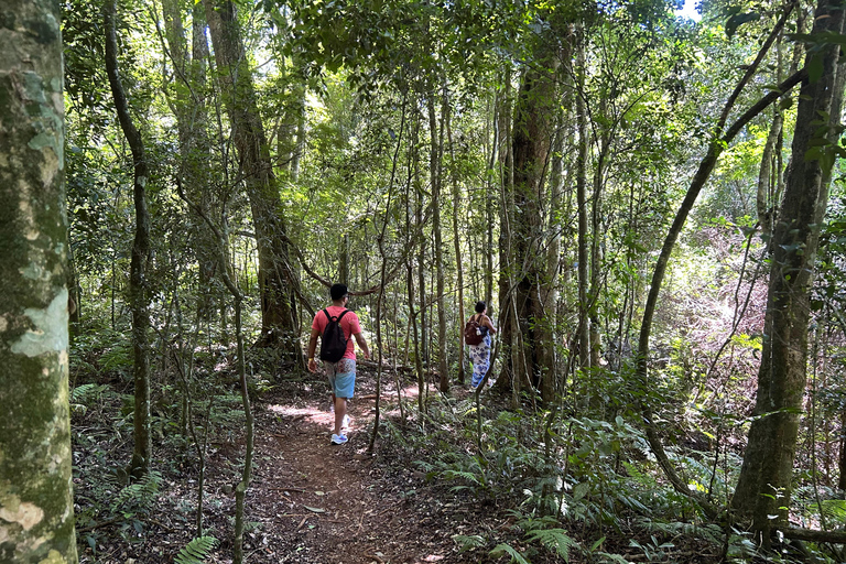 Essence of Iguazú: Full-Day Tour of Iguazú Falls (Brazil Side) and São João Trail Essence of Iguaçu: Full Day at Iguaçu Falls, Brazil, and São João Trail