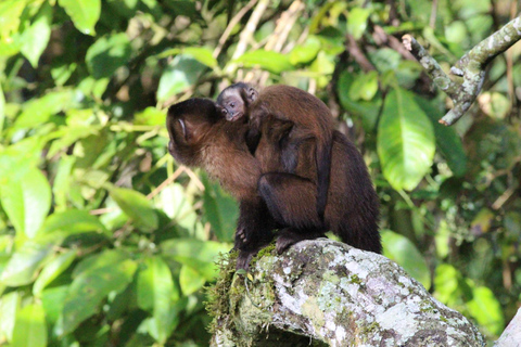 Da Cusco: 5 giorni di esplorazione e connessione nella Zona Riservata del ManuDa Cusco: 5 giorni di esplorazione e connessione nella Zona Riservata di Manu