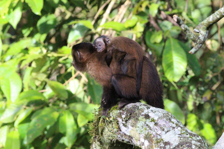 Da Cusco: 5 giorni di esplorazione e connessione nella Zona Riservata del ManuDa Cusco: 5 giorni di esplorazione e connessione nella Zona Riservata di Manu