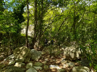 纳克索斯（Naxos），河岸冒险（Indos -Eggers -Eggers） - Housity