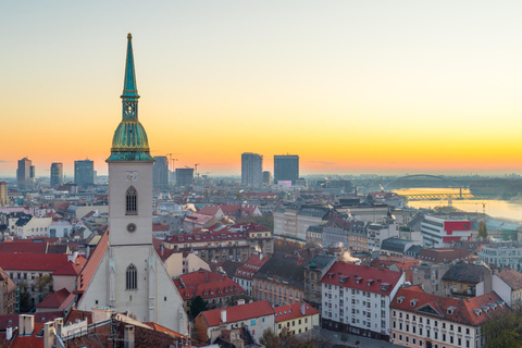 UFO Observation Deck Bratislava Private Tour with Admission