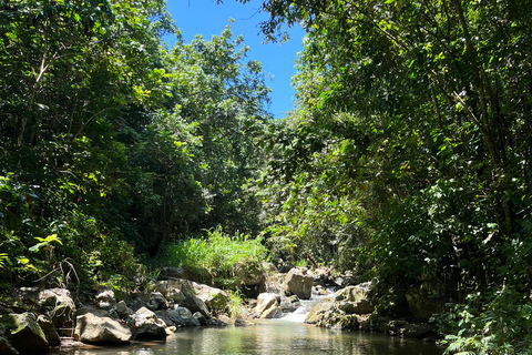 Caguas : Aventure dans les cascades et les grottes