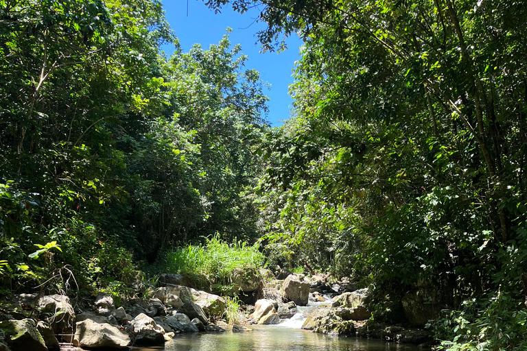 Caguas : Aventure dans les cascades et les grottes