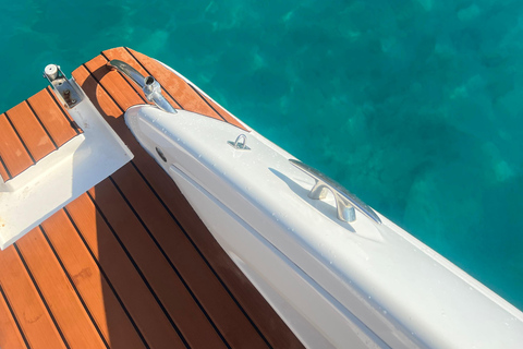 Excursion inoubliable en bateau