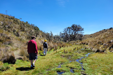 Cajas nationalpark halvdagsutflyktDelad tur