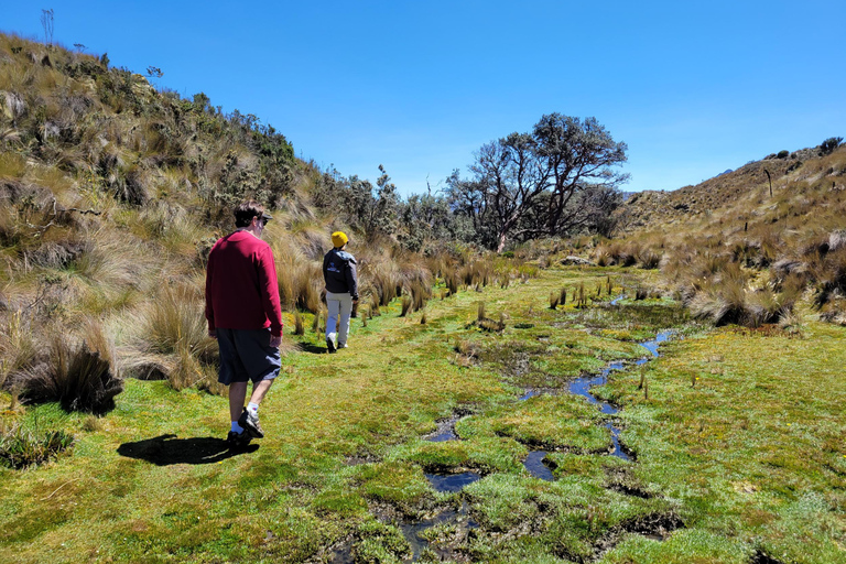 Cajas nationalpark halvdagsutflyktPrivat tur