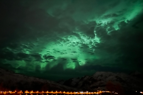 Tromsö: Northern Lights Chase Tour med snacks och dryck