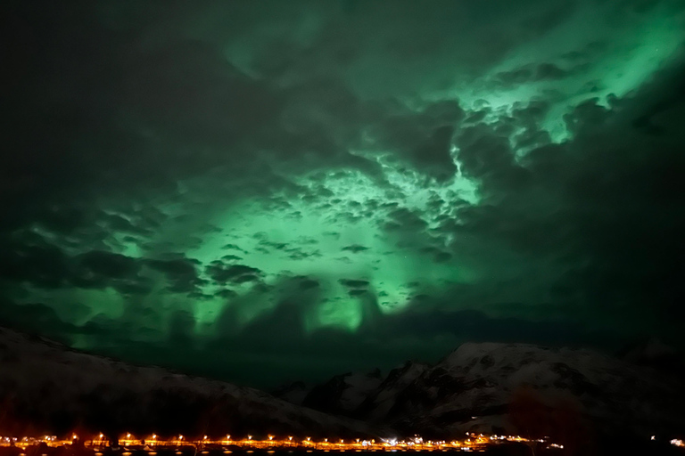 Tromsö: Northern Lights Chase Tour med snacks och dryck