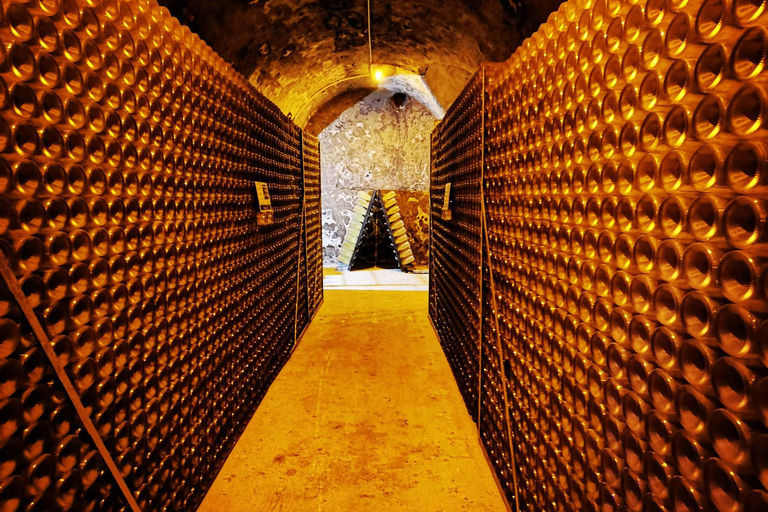 Reims/Epernay: Private Veuve Clicquot Champagne Tasting Tour