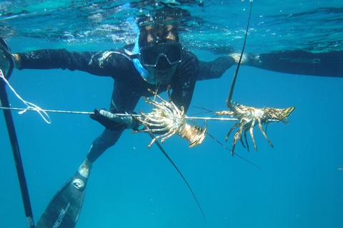 From Cancún: Isla Mujeres Snorkel & Spearfishing Escape