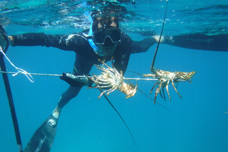 From Cancún: Isla Mujeres Snorkel & Spearfishing Escape