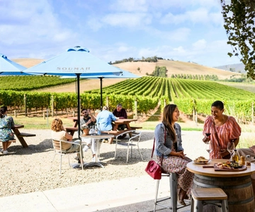 Melbourne: Excursão de meio dia às vinícolas de Yarra Valley Cellar Door