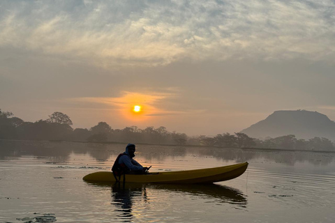 Sigiriya: Birdwatching Kayak Tour with Guide
