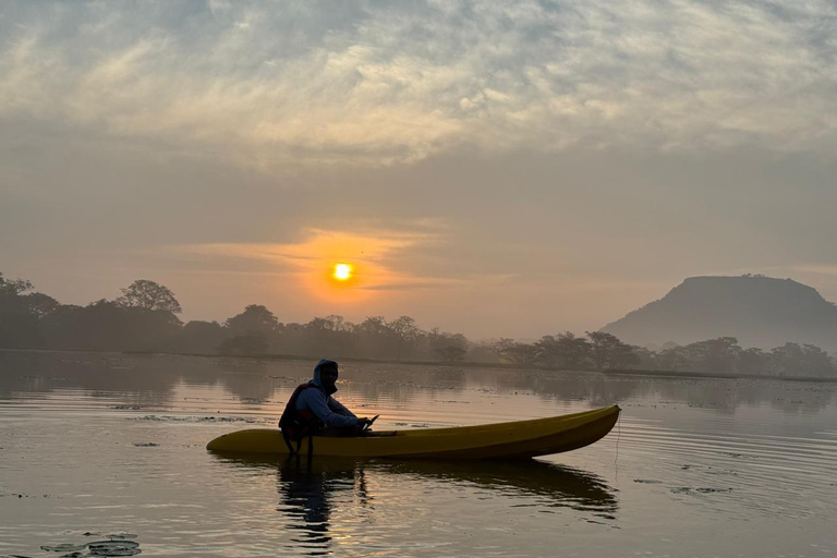 Sigiriya: Birdwatching Kayak Tour with Guide