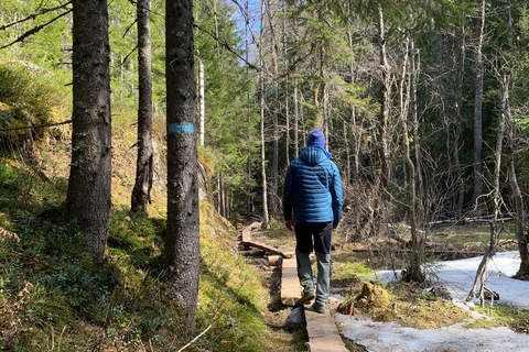 Oslo: escursione guidata nel Parco Nazionale di Østmarka con cibo cotto sul fuocoOslo: escursione guidata al Parco Nazionale di Østmarka con cibo sul fuoco