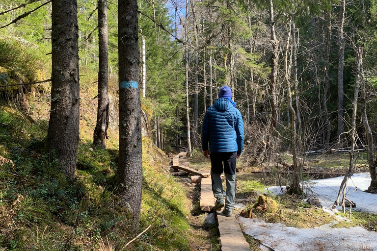 Oslo: escursione guidata nel Parco Nazionale di Østmarka con cibo cotto sul fuocoOslo: escursione guidata al Parco Nazionale di Østmarka con cibo sul fuoco