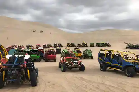 Circuit de 1 jour : découverte de Paracas et de l'oasis de Huacachina