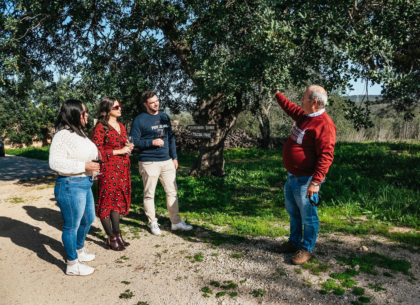 Loulé: Quinta da Tôr vingård guidet tur og vinsmagning