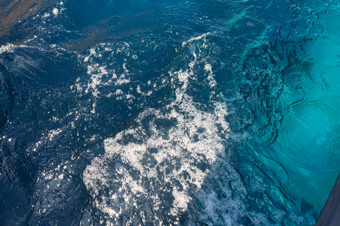 De Cargèse : Le grand tour du Golfe