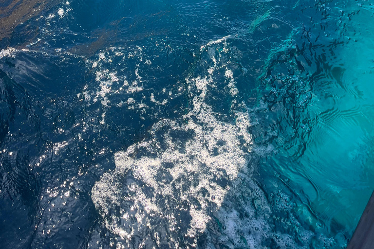 De Cargèse : Le grand tour du Golfe