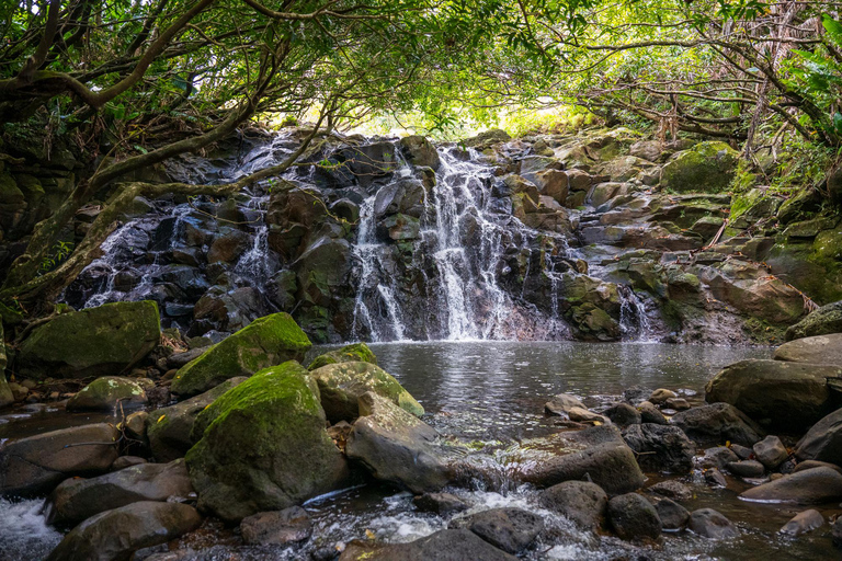 Mauricio: Ganga Talao, Vallé y tirolina en bicicleta