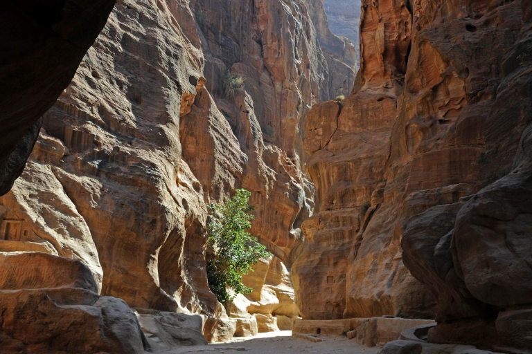 Vom Toten Meer aus: Petra und Wadi Rum GanztagestourNur Transport