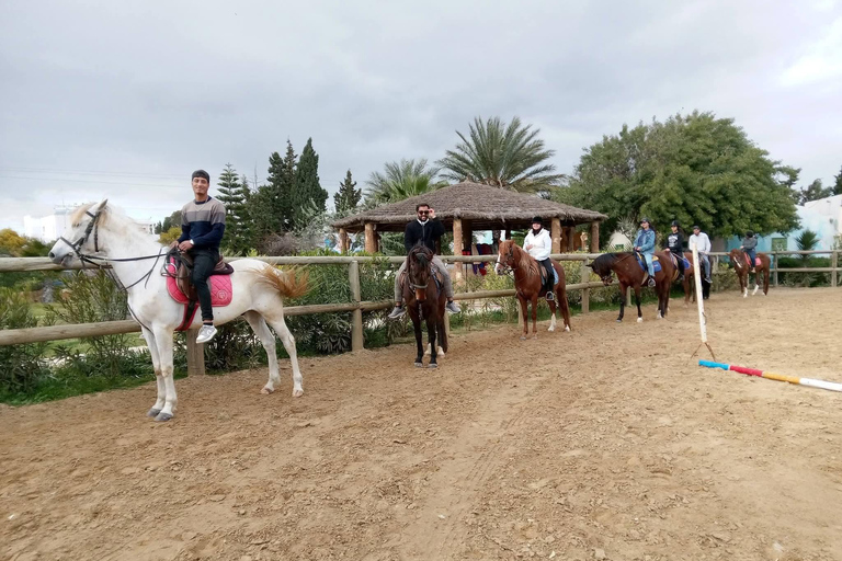 Hammamet equitation : Balade à cheval le long de la plage