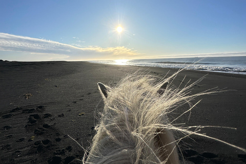 Südisland: Reiten am schwarzen Strand Tour