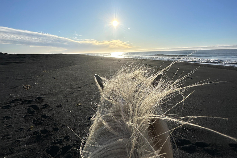 Südisland: Reiten am schwarzen Strand Tour