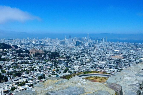 San Francisco: Highlights Tour privato di 3 ore in autoVan privato di lusso/autista