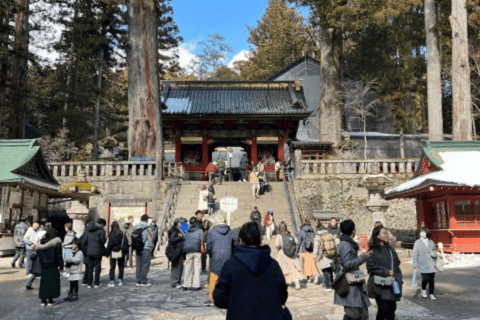 From Tokyo: Nikko Private Tour In Luxury Prado Lowest Price