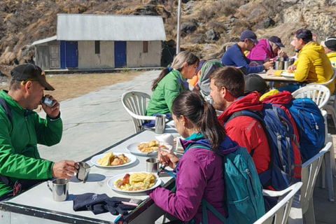 Kathmandu: 12-Day Annapurna Base Camp Trek with Guide