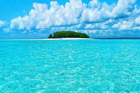 Delfiny i nurkowanie z rurką na Zanzibarze: wycieczka na wyspę MnembaDelfiny i snorkeling na Zanzibarze: wycieczka na wyspę Mnemba