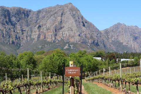 Cape Town: visite privée d'une journée de la péninsule du Cap et des vignoblesExcursion combinée privée d'une journée complète dans la péninsule du Cap et les vignobles